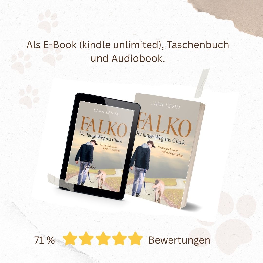 Hunde besser verstehen – Tipps eines erfahrenen Hundetrainers
